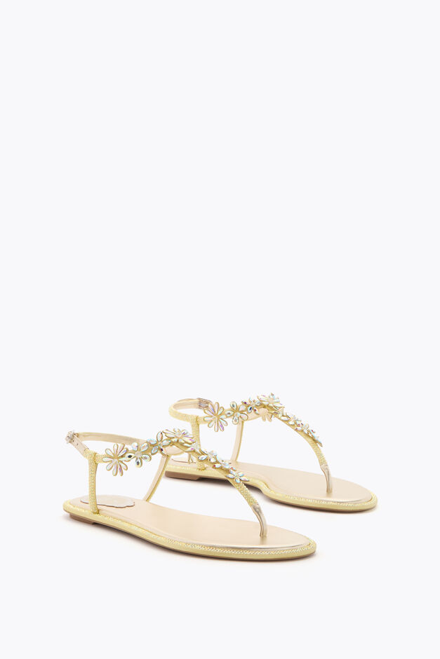 EVA YELLOW THONG SANDAL 10