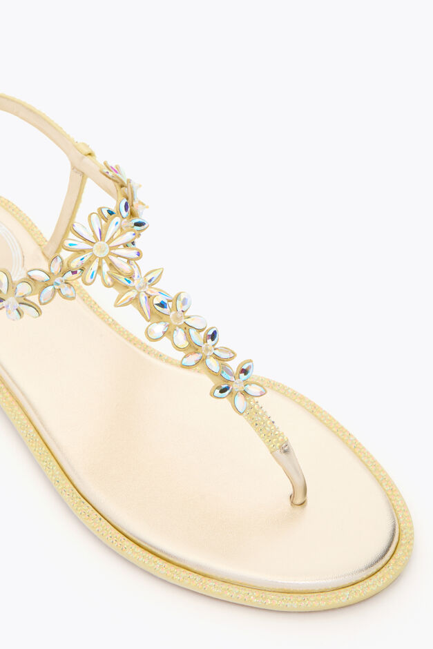 EVA YELLOW THONG SANDAL 10