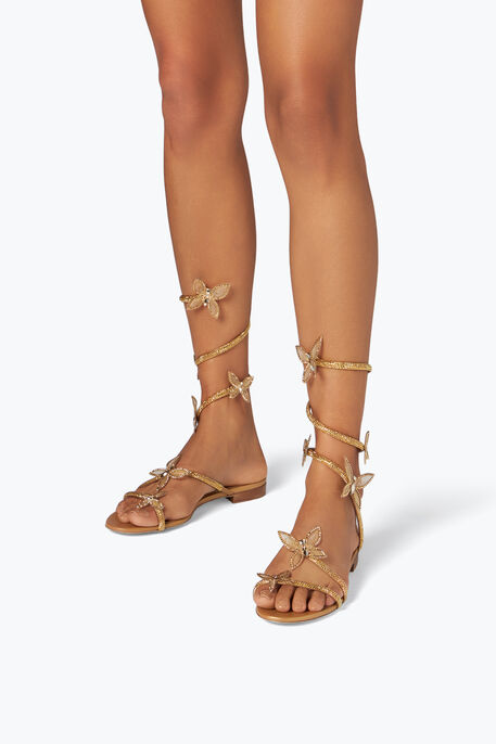 Butterflower Crystal Gold Sandal 10 Butterflower Crystal Gold Sandal 10