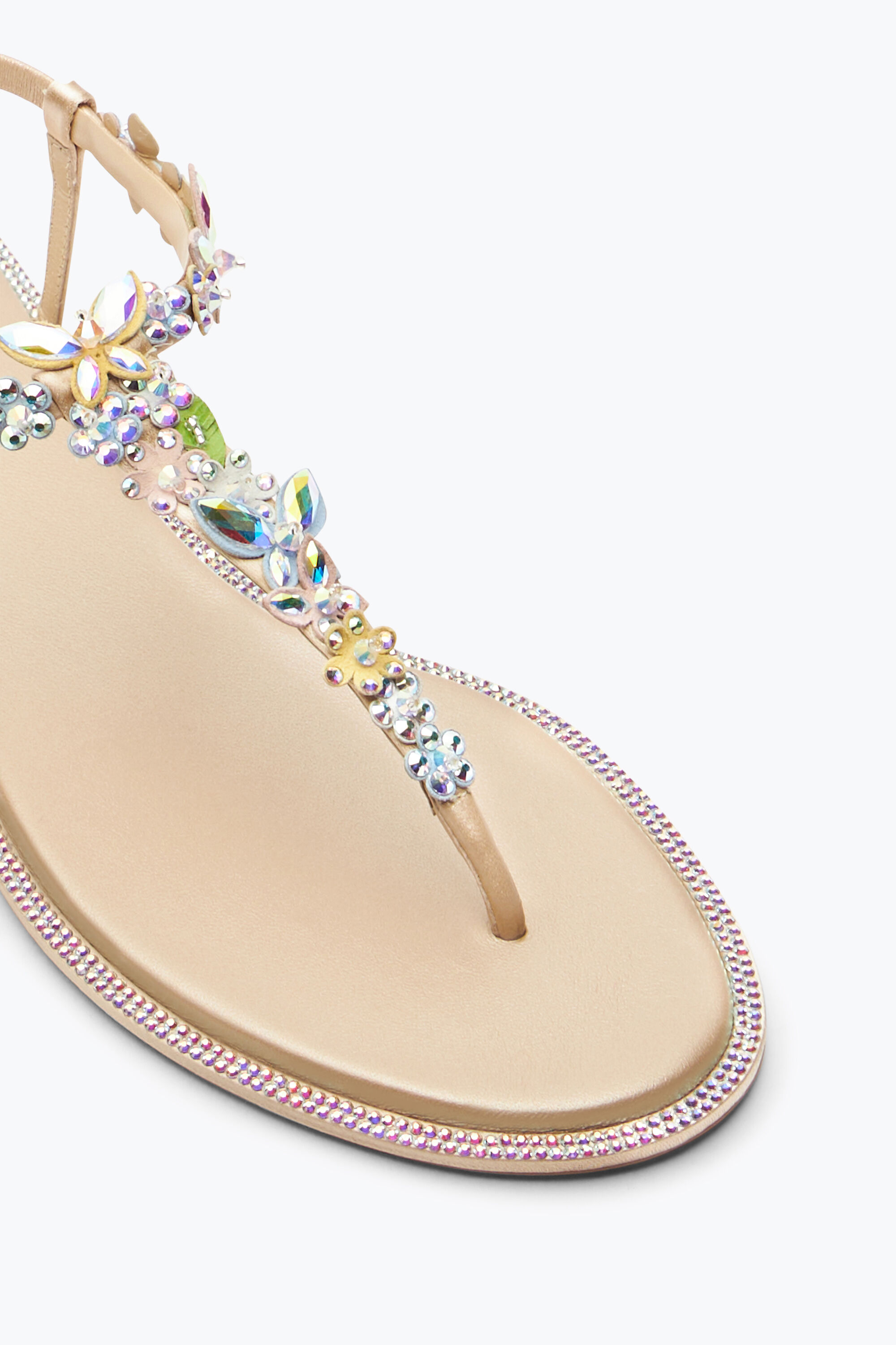 Jeweled Eden Nude Thong Sandal 10 | Rene Caovilla®