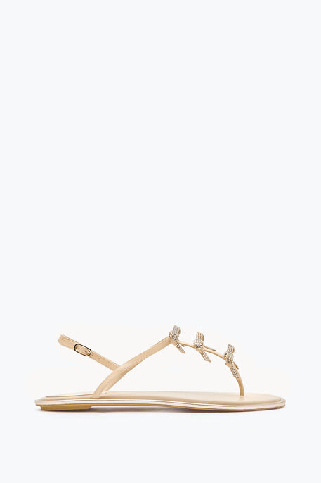 Caterina Nude Thong Sandal 10 Caterina Nude Thong Sandal 10