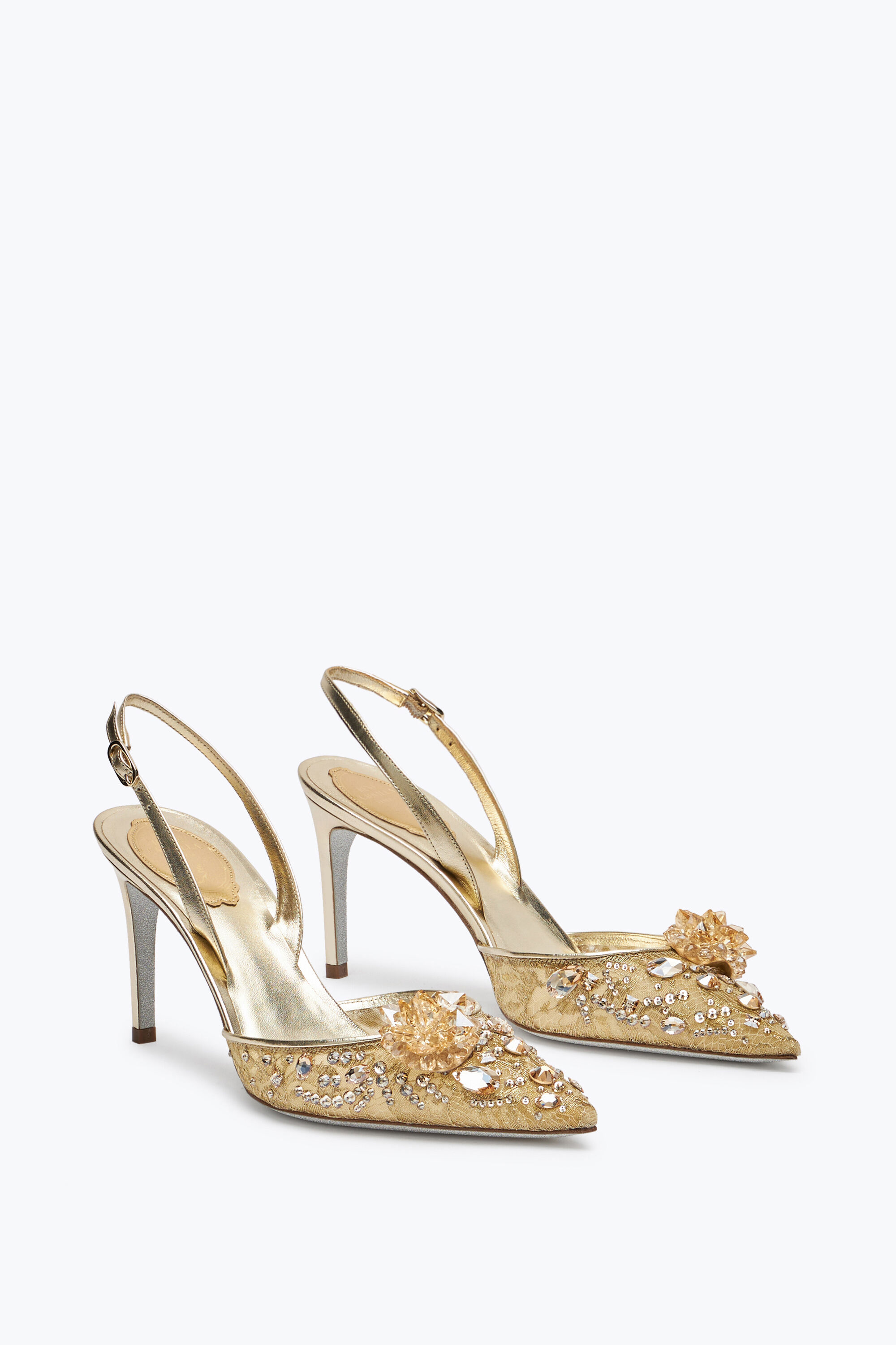 Jeweled Cinderella Golden Slingback 80 | Rene Caovilla®