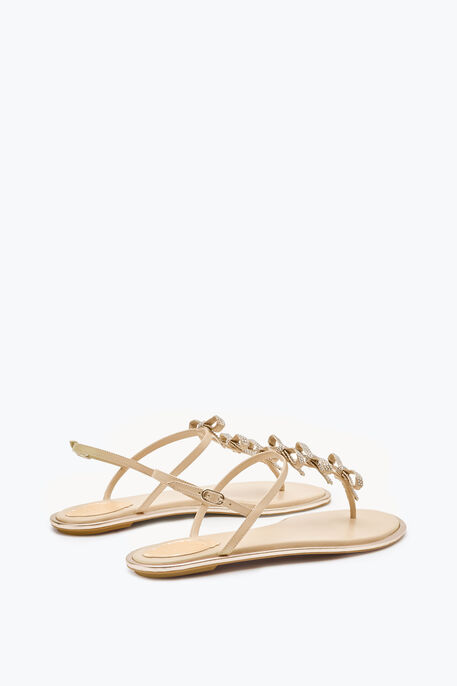 Caterina Nude Thong Sandal 10 Caterina Nude Thong Sandal 10