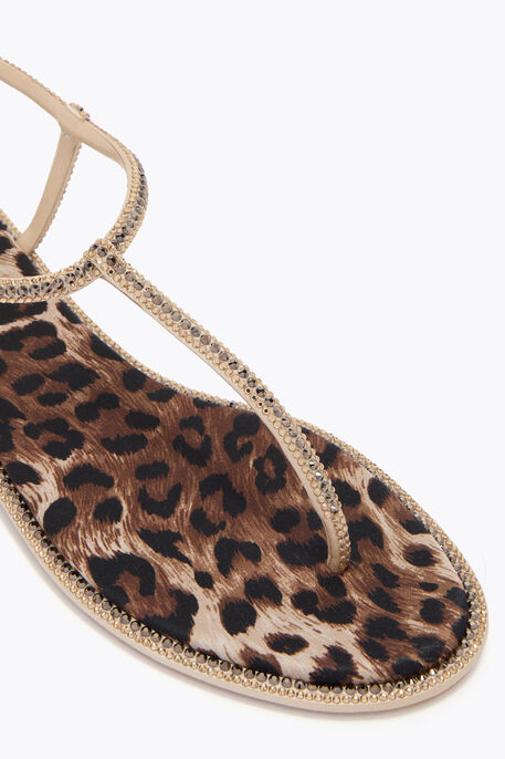 DIANA ANIMALIER SANDAL WITH CRYSTALS 10