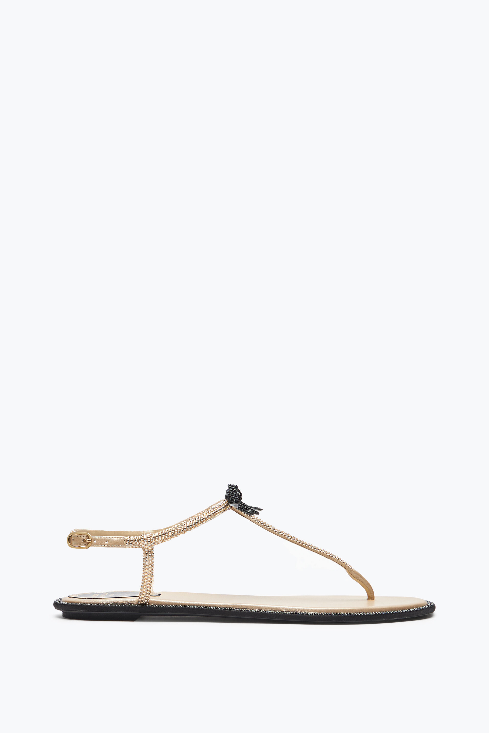 Jeweled Caterina Honey Thong Sandal 10 | Rene Caovilla®