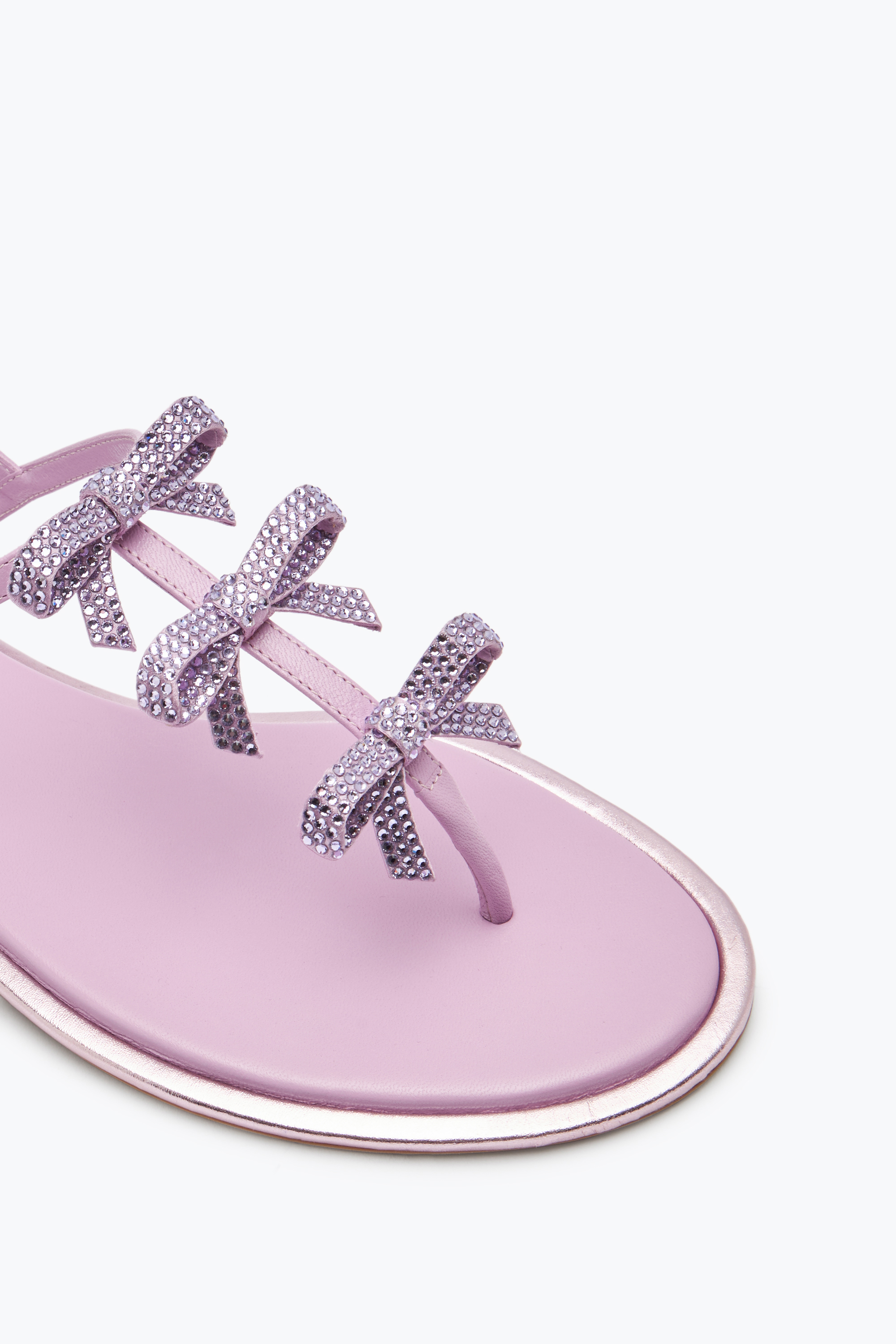 René Caovilla Diana Mauve Thong Sandal 10