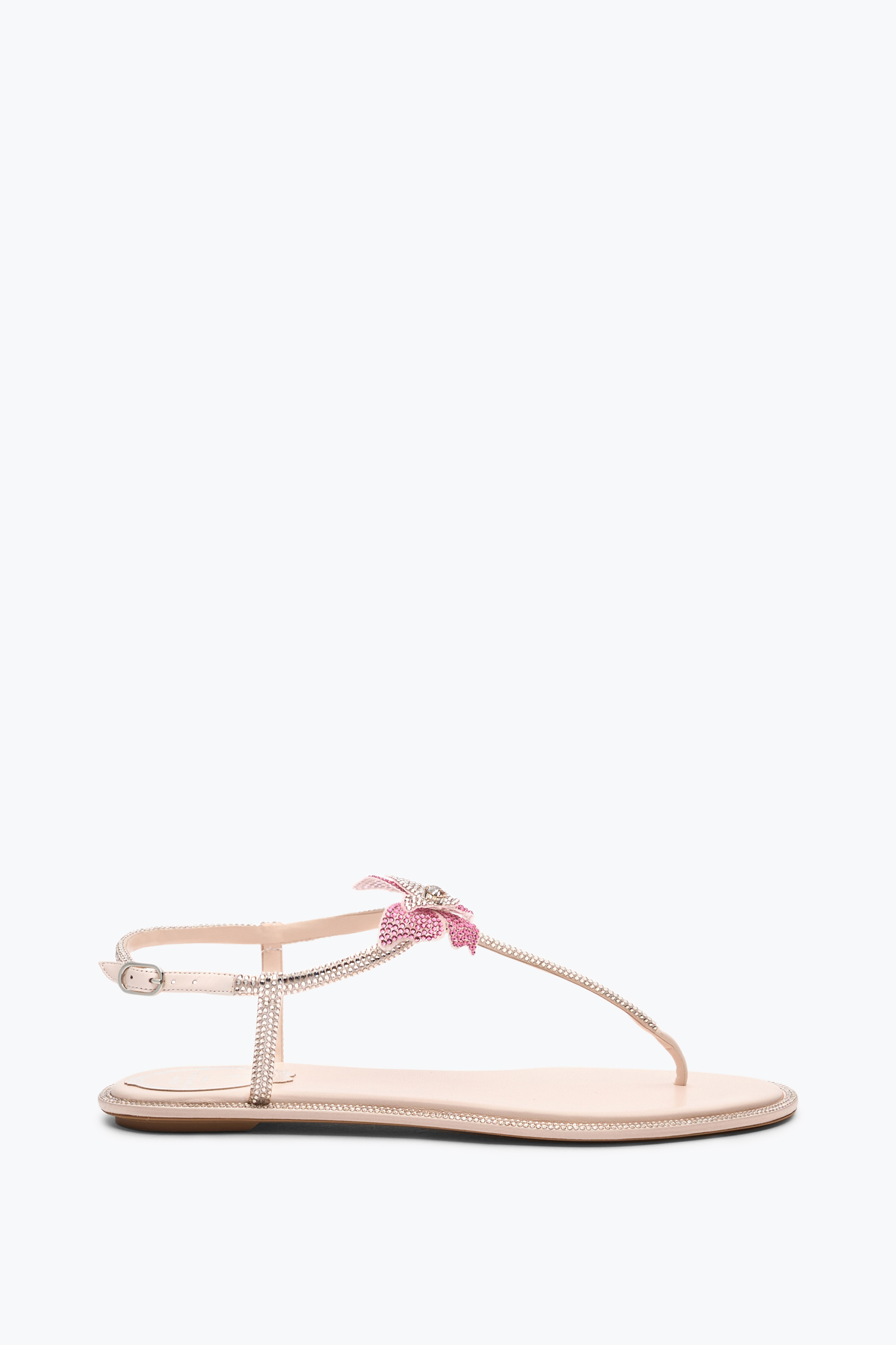 René Caovilla Fairy Pink Flat Sandal 10