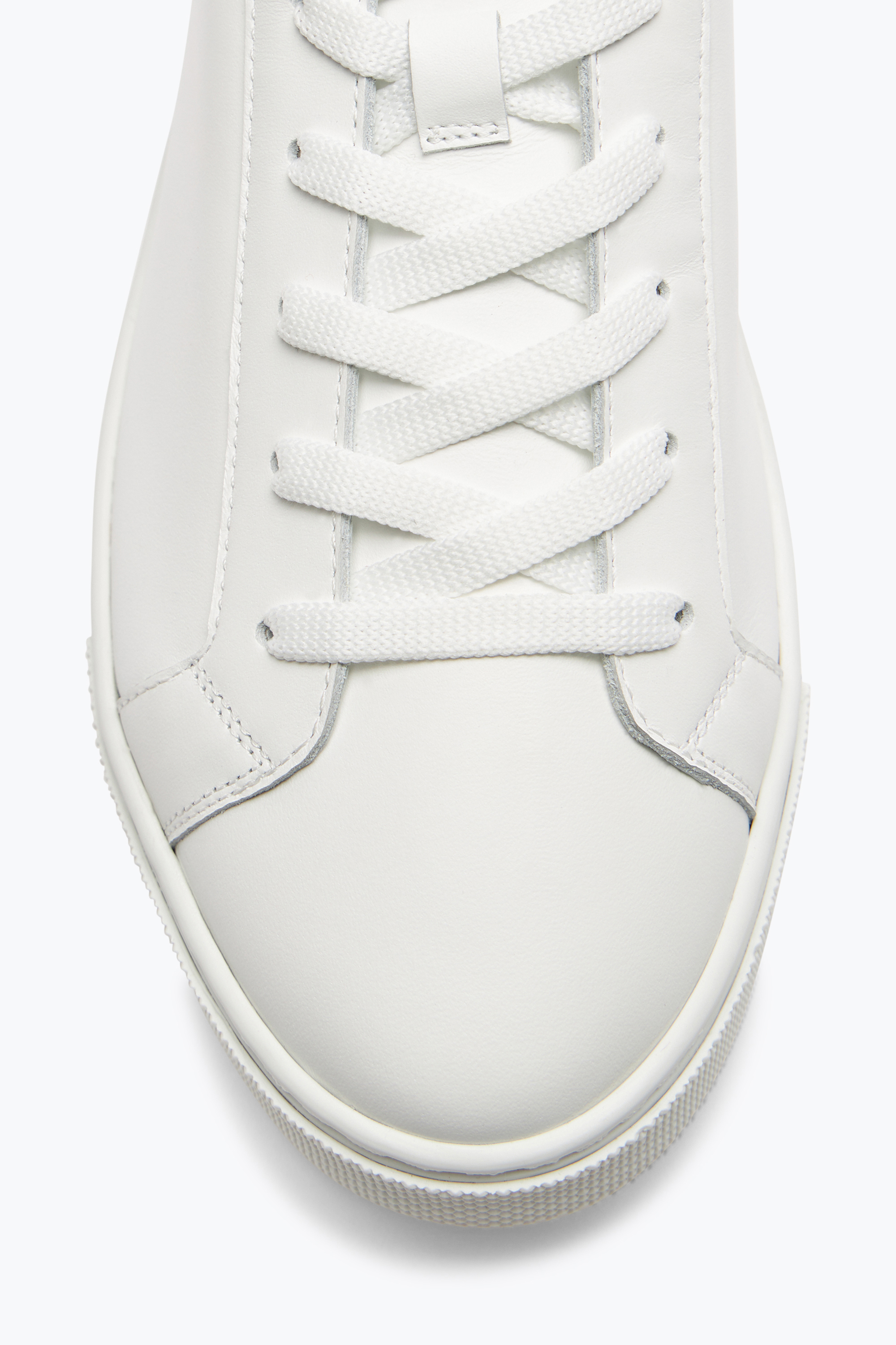 René Caovilla Xtra White-black Sneaker With Crystals 15