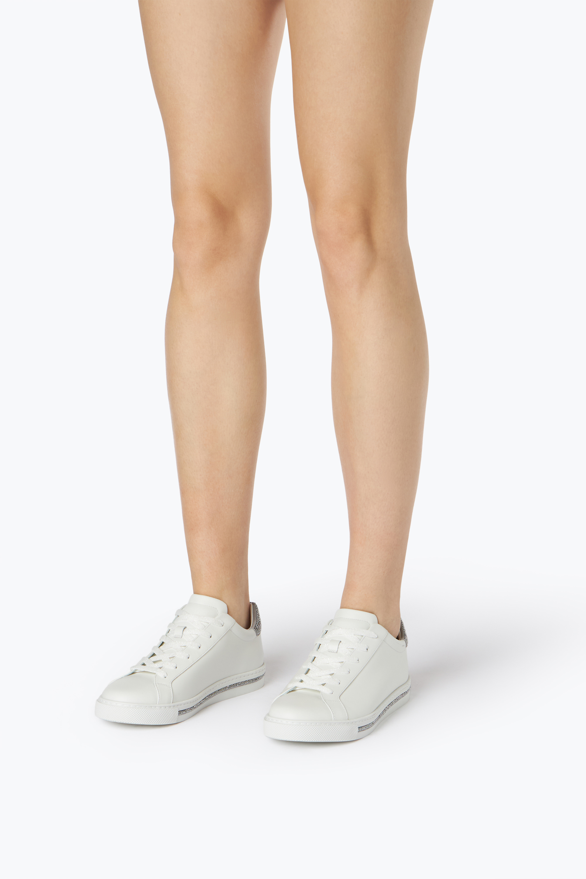 René Caovilla Xtra White And Silver Sneaker 15